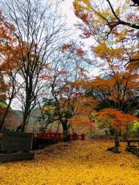 【もみじ神社】