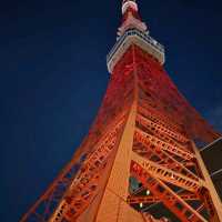 東京タワー夜景散歩：煌めく東京の象徴を巡る旅