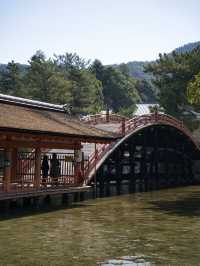 【広島】究極のパワースポット💪厳島神社で神秘体験✨