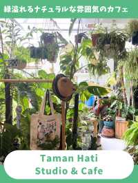 【マレーシア女一人旅】猫店員とゆったり過ごせる癒しの空間！植物溢れるカフェ！
