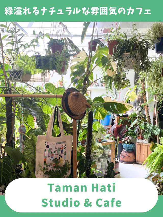 【マレーシア女一人旅】猫店員とゆったり過ごせる癒しの空間！植物溢れるカフェ！