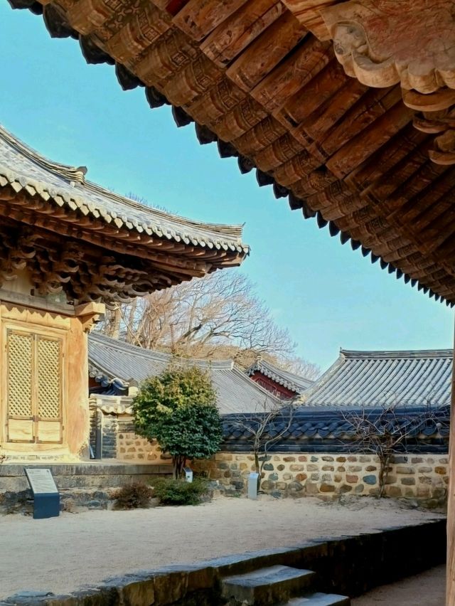 🌿 고즈넉한 사찰 데이트, 통도사