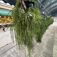 งานมีจฉาบานตำนานเขาสมิงครั้งที่4