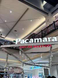 Pacamara Coffee Roasters