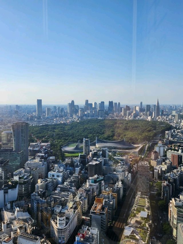도쿄를 한눈에 볼수 있는 시부야스카이🌃