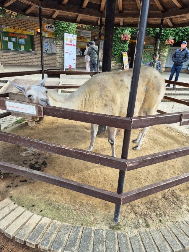 Nagasaki Bio Park