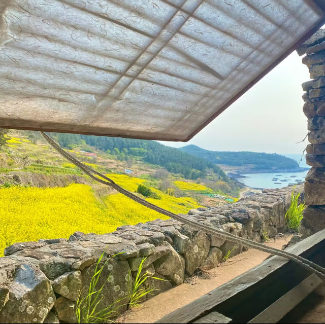 다가올 봄에 가면 좋을 유채꽃과 바다가 보이는 주막- 청산도 서편제 주막