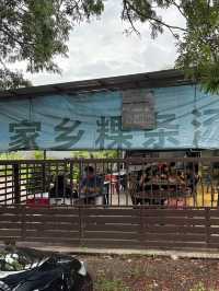 A Hearty Breakfast at Jia Xing Noodles House, Butterworth 🍜☀️
