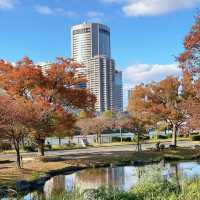 天神中央公園～美麗河濱🍂🎶