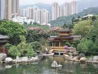 A Peaceful Pause: Hong Kong’s Best Kept Secrets—Chi Lin Nunnery and Nan Lian Garden