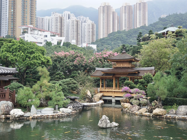 A Peaceful Pause: Hong Kong’s Best Kept Secrets—Chi Lin Nunnery and Nan Lian Garden