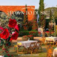Dawn to Dusk BKK