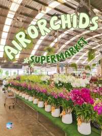 AIRORCHIDS SUPERMARKET