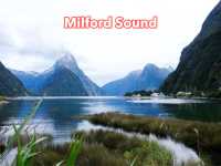 Milford Sound นิวซีแลนด์