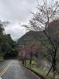 烏來｜烏來瀑布