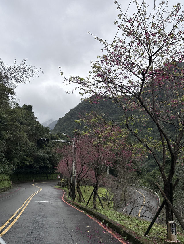 烏來｜烏來瀑布