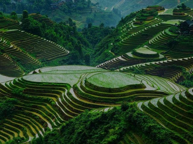 China: Do not miss out on visiting the home of the stunning natural valleys!