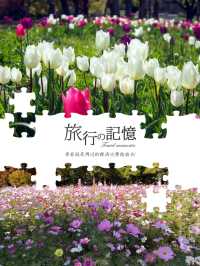 自由散漫，享受春天氣息🎋🌹