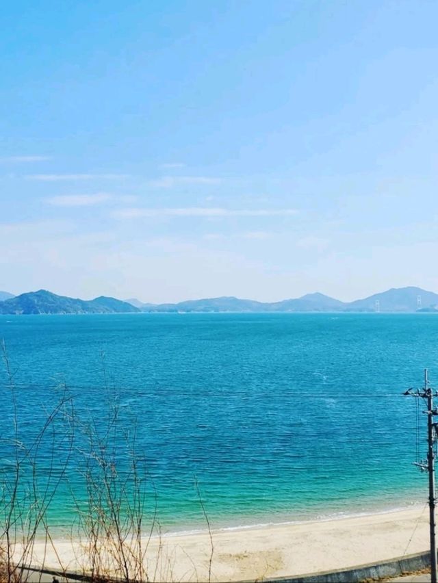 ■大角海浜公園