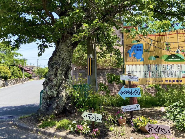 【京都府】海の上を走る列車　in京丹後