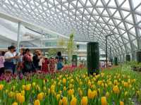 Miracle of Natural สวนดอกไม้เมืองหนาว ระยอง