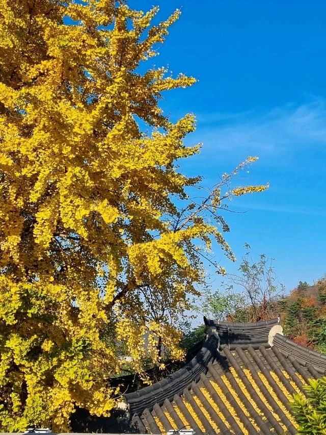 가을에 가장 아름다운 서울동네💛
