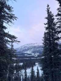 Into the Wild – My Winter Adventure in Denali National Park, Alaska
