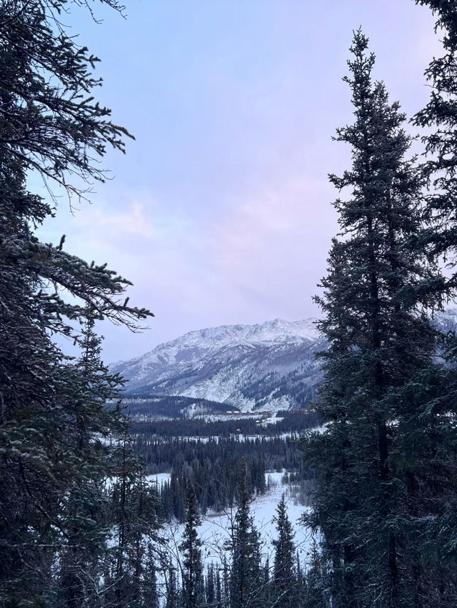 Into the Wild – My Winter Adventure in Denali National Park, Alaska