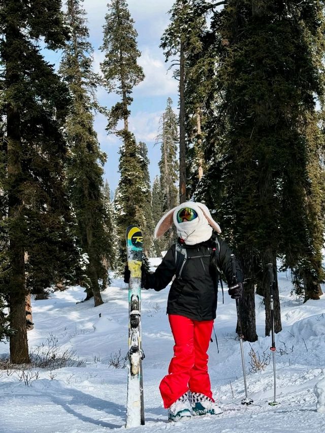 ⛷️ Discover Skiing in Gulmarg – The Ultimate Snow Adventure! ❄️🏔️