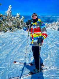 🎿 Skiing in Davos: Switzerland’s High-Altitude Adventure 🏔️❄️