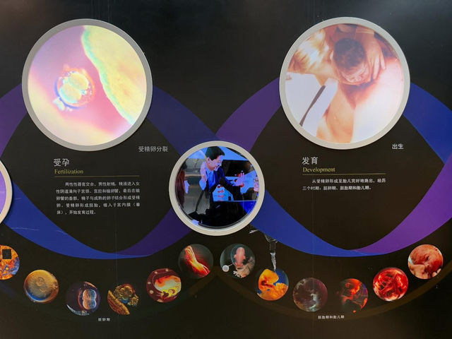중국 베이징 자연사 박물관 입니다. 