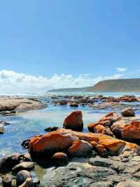 🐟 Explore Port Lincoln – Australia’s Seafood Capital! 🇦🇺