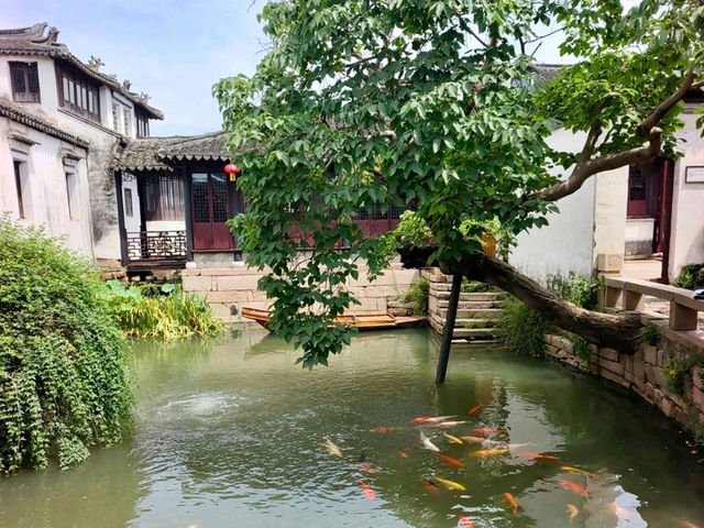 Zhang Residence: A Classic Ming Dynasty Official's House