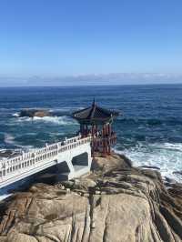 겨울바다는 못참지 ! 속초 힐링여행 🌊