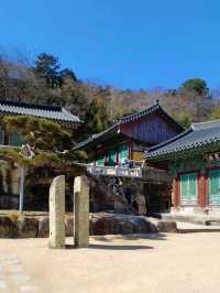 고즈넉한 산사 길, 걷기 좋은 사찰🌿🚶‍♂️