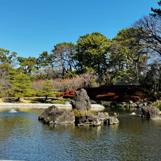 砧公園～尋找和風