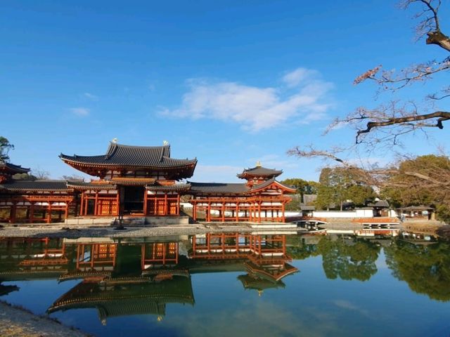 2025.2.14 宇治♡茶之鄉