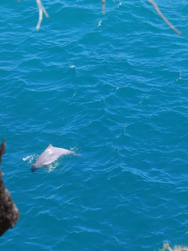 North Stradbroke Island：與自然共舞的奇妙冒險 🌿🐬