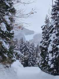 Nozawa Onsen Snow Resort