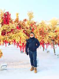 ❄️ A Winter Wonderland ❄️ My Unforgettable Experience at the Ice and Snow Festival