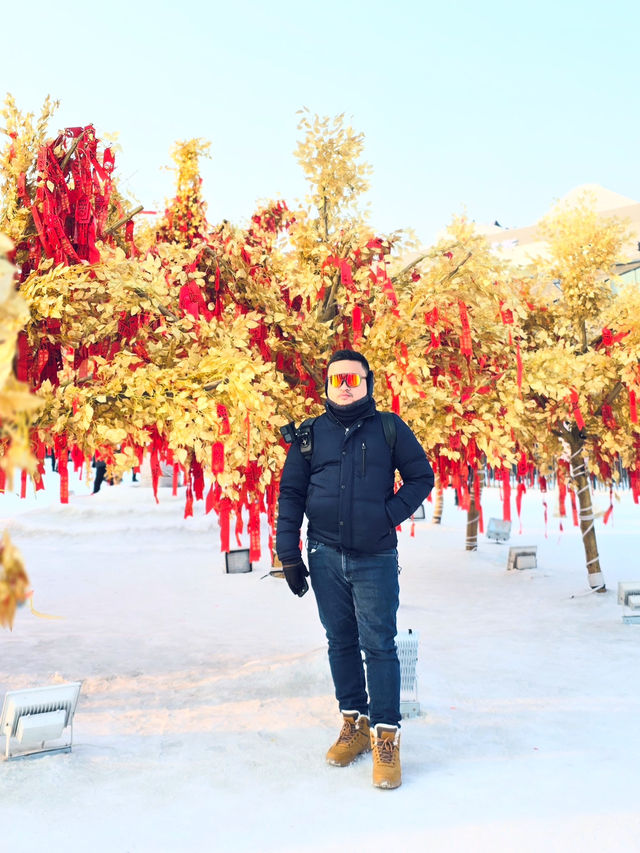 ❄️ A Winter Wonderland ❄️ My Unforgettable Experience at the Ice and Snow Festival