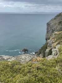A Charming Escape to Stanley, Australia 
