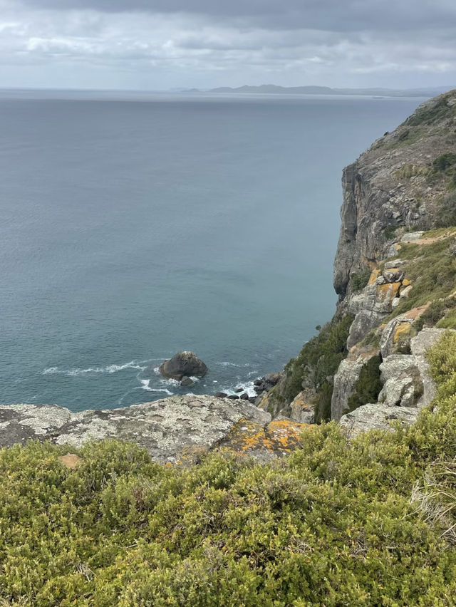 A Charming Escape to Stanley, Australia 