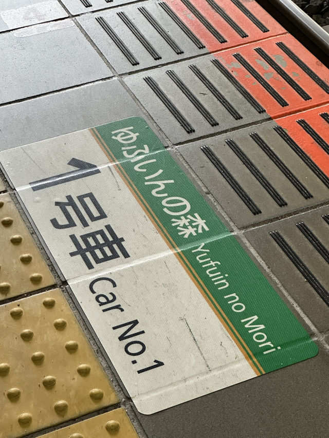 감성낭만가득 유후인노모리 이용방법 🚞