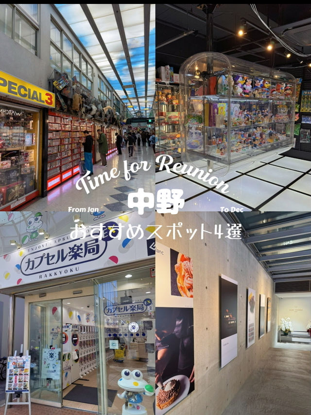 歩いているだけでも楽しい🎶独特な文化が溢れる中野駅にあるおすすめスポット4選🤩💓【東京】