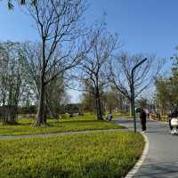 🌳 翠湖文體公園 🚴‍♀️ 隱秘天堂 🚴‍♀️  