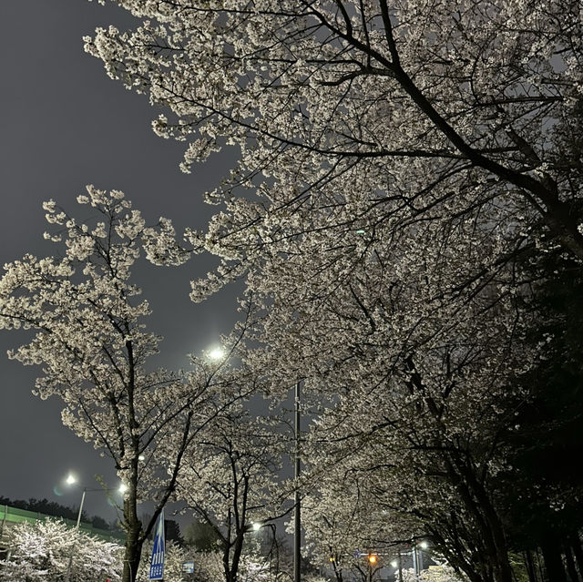 【光州】🇰🇷 ヤンサン湖水公園