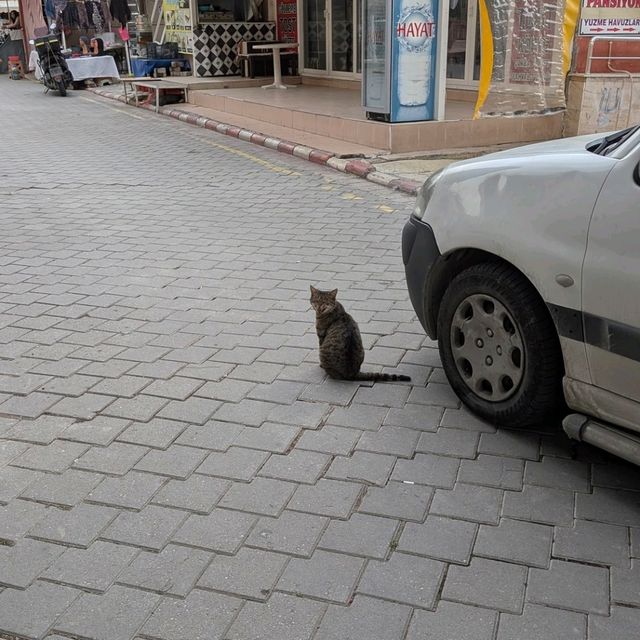 Karahayit Mahallesi 보물 같은 숙소 무시즈 테르말 스파