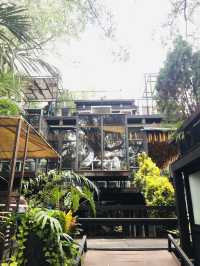 หนีเมืองมาสูดอากาศบริสุทธิ์ที่ Bangkok Tree House
