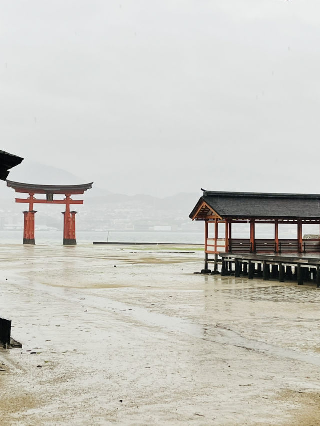 ⛩️ ✅厳島神社（Itsukushima Shrine）攻略ガイド 🦌